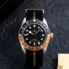 Tudor Black Bay GMT S&G