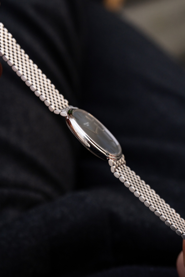 Patek Philippe Ellipse d'Or 3879-002