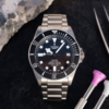 Tudor Pelagos